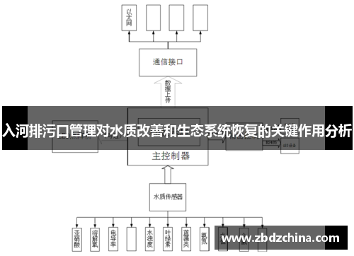 入河排污口管理对水质改善和生态系统恢复的关键作用分析