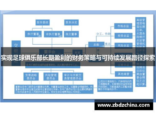 实现足球俱乐部长期盈利的财务策略与可持续发展路径探索